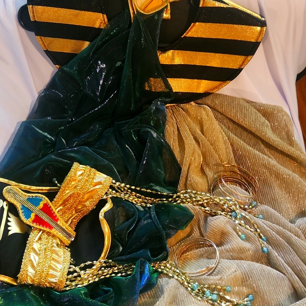 Cleapatra Costume With Bangles Snake Theme And Head Piece Worn Once